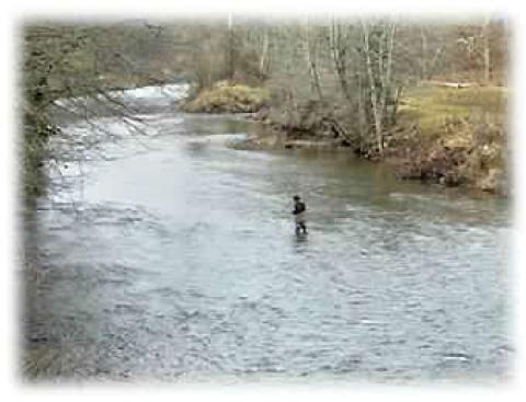 Winter Fly Fishing On the New River