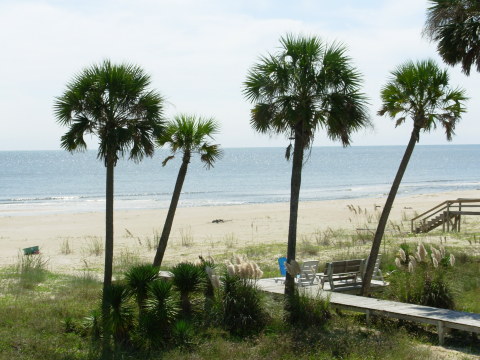 Two Palms View of Beach and Gulf of Mexico From Lower Deck