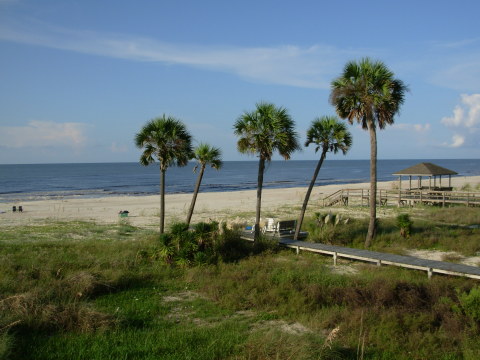 Two Palms Beach and palm trees