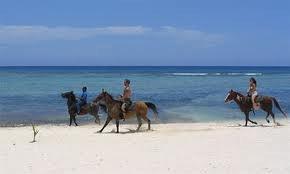 Two Palms Horseback riding on the Beach