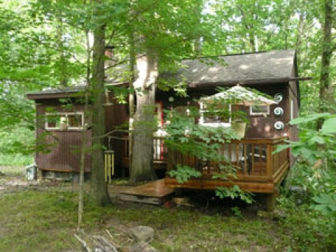 Cabin By The Pond - Vacation Rental in Carbondale