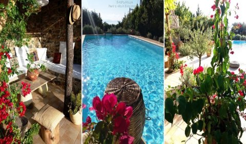 Eviafoxhouse rent a villa in Euboea Island Greece
