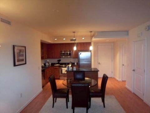 [1596-1]1 BR High-Rise Apartment-Wisconsin Place