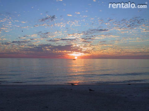 Beach Palms - Vacation Rental in Clearwater Beach