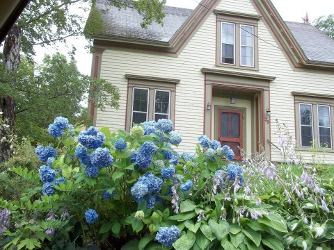 Prince William House,Digby - Vacation Rental in Digby