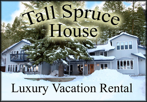 Tall Spruce House - SKI & SPA deals- Walk to Hot S - Vacation Rental in Durango