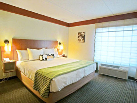 La Quinta Inn and Suites Raleigh Research Park