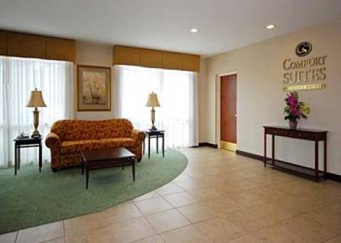 Fernandina Beach Hotel Comfort Suites Fernandian