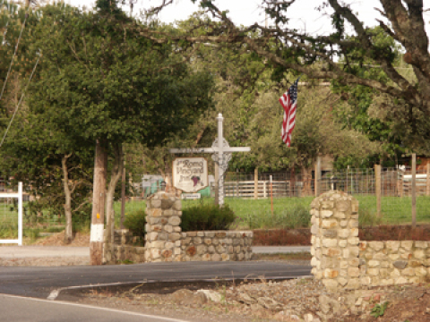 Romo Vineyard - Vacation Rental in Healdsburg