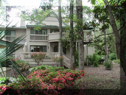 Utlaut Beachwalk Villa - Hilton Head Island, SC - Vacation Rental in Hilton Head Island