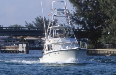go fishing for a day - Hollywood, Florida Hotels