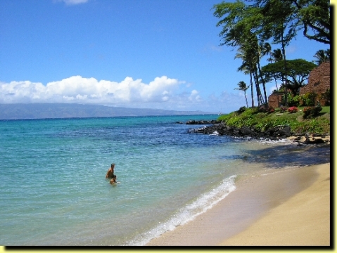 Aloha Maui Condos - Hoyochi Nikko #206. Oceanfront