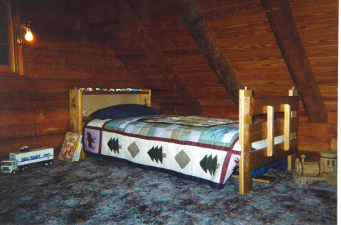 Accomodation Log Cabin in Jasper