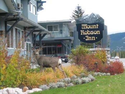 Mount Robson Inn