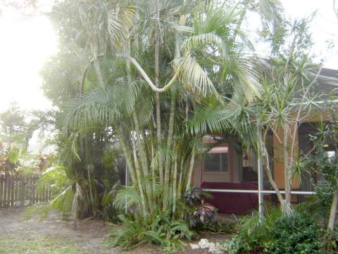 Lakefront Old Florida Home on Lake Osborne - Vacation Rental in West Palm Beach