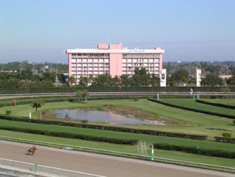 El Palacio Sports Hotel