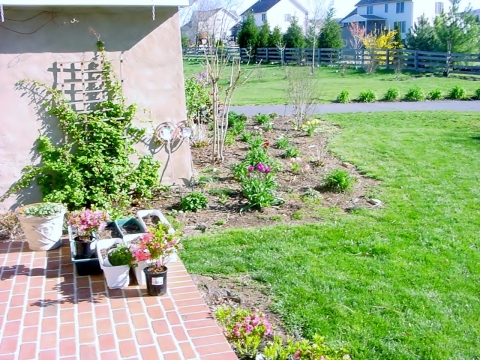 Brick patio and garden