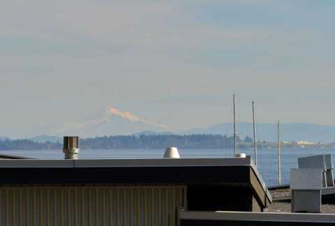 Views of Mount Baker in the distance.