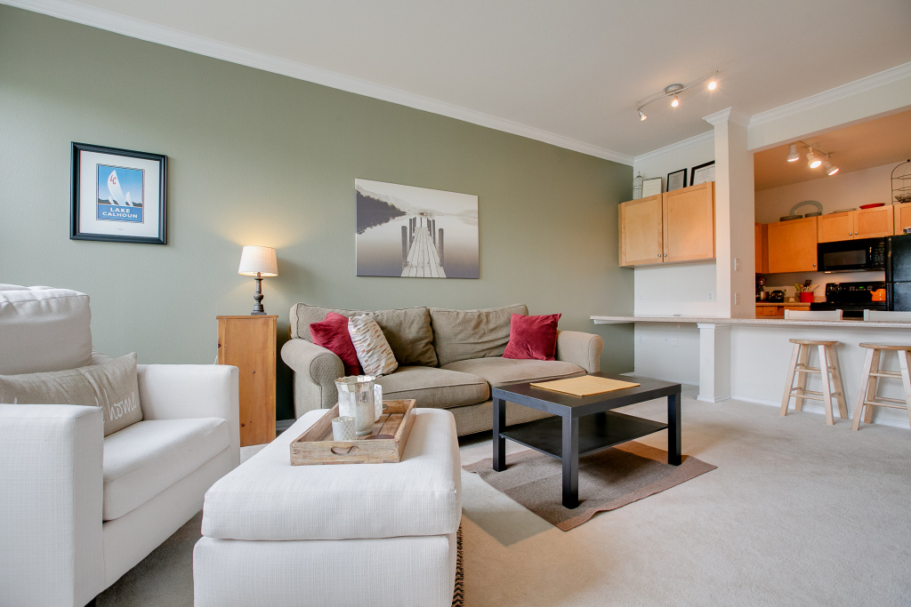 Luxury 2 bedroom Condo - Vacation Rental in Minneapolis