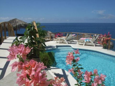 Catcha Falling Star Ocean Front Cottages - Vacation Rental in Negril