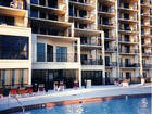 Orange Beach Two Bedroom Beach Front Condo vacation rentals