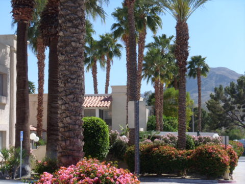 Enjoy the  50+ Good Life in Palm Springs Style  - Vacation Rental in Palm Springs