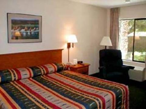 Palm Springs Hotel | Comfort Inn Palm Springs