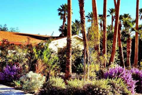 Hot Tin Roof - Vacation Rental in Palm Springs