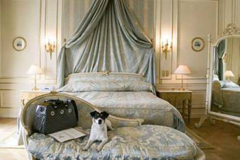 Le Meurice Paris - Luxury Hotel
