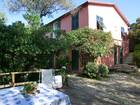 Casa Bosco Villa in Olive Grove, Cinque Terre/Port vacation rentals