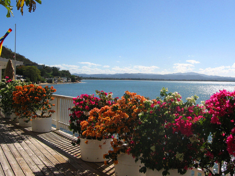 Amirage - Oceanfront 1,2 Bedrooms ! - Vacation Rental in Rincon