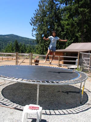 A jump on the trampoline - Salt Spring Island Bed and Breakfasts