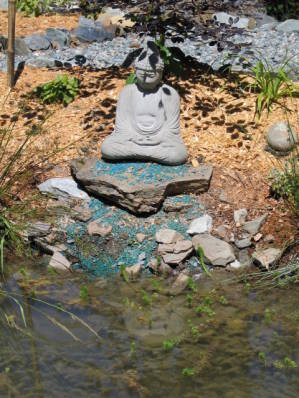 Budha at the pond - Salt Spring Island Bed and Breakfasts