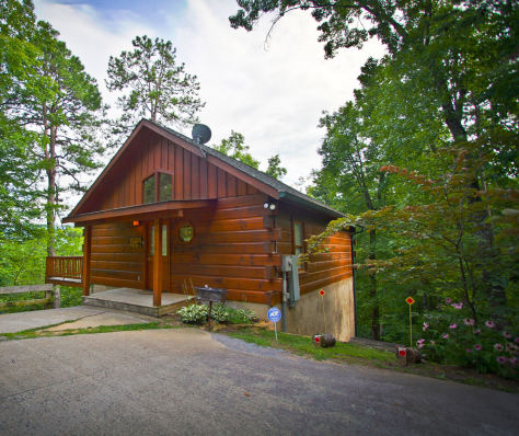 Sevierville Cabin Life S A Bear 228