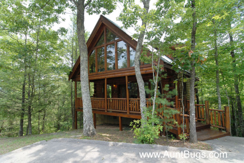 Sevierville Cabin Beary Secluded 296