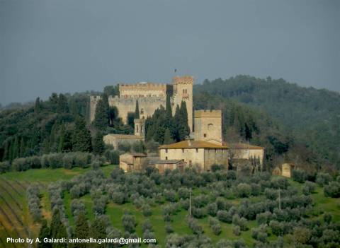 Apartment in Medieval Tower between Florence and S - Vacation Rental in Siena