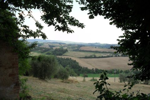 Landscape from Luco