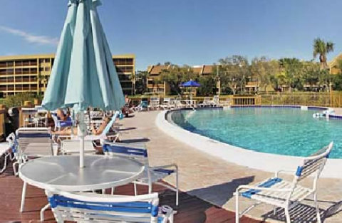 Pool AreaSiesta Key Vacation Condos