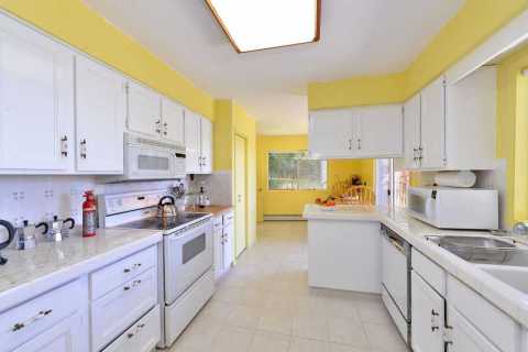 Bright and sunny kitchen with five appliances