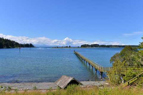 Fifty foot dock with deep water moorage and private beach