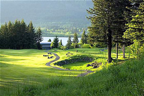 skamania stevenson