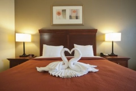 Country Inns & Suites Seffner - Hotel in Tampa