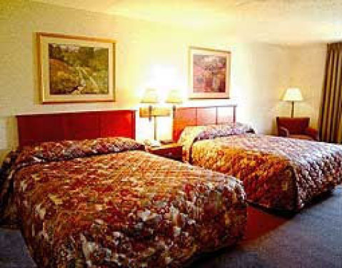 La Quinta Inn and Suites Tampa USF-Near Busch Gard