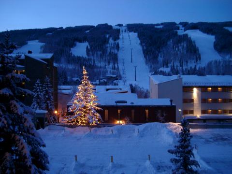 Vantage Point Vacation rental, steps from slopes - Vacation Rental in Vail