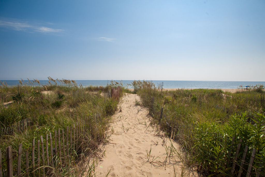 Beachfront Property Virginia