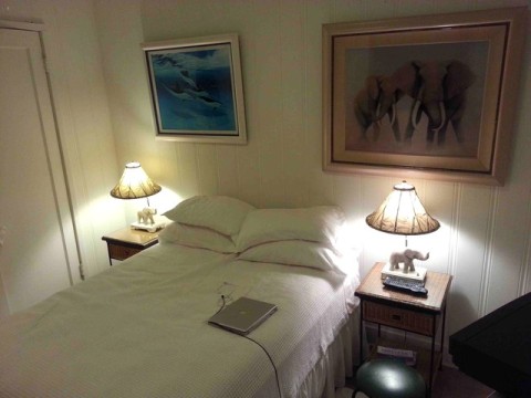 $80/nt Private Studio Entry + Bath Walk to Beach! - Vacation Rental in Waikiki