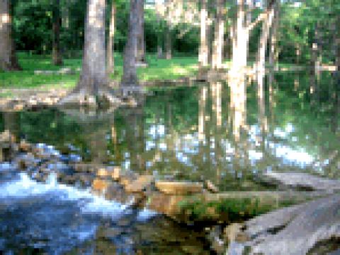 Wimberley Cabin Cypress Creek Cottages